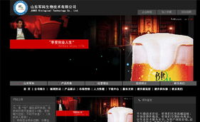 名域网络 助力临沂企业数字化转型的专业建站与维护服务