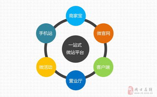 周口指尖传媒 专业网站建设与维护的领航者