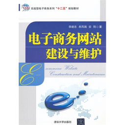 电子商务网站建设与维护 从构想到持续运营的关键路径